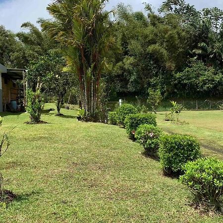 972B-Coin De Verdure Au Pied De La Montagne Pelee Le Morne-Rouge Exterior foto