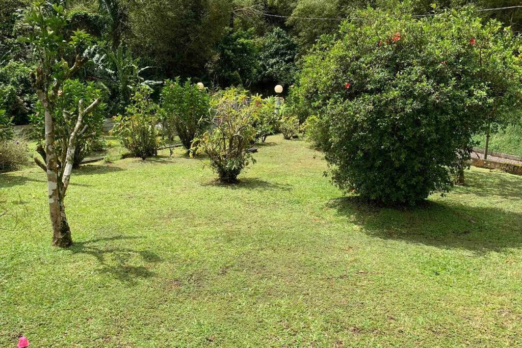 972B-Coin De Verdure Au Pied De La Montagne Pelee Le Morne-Rouge Exterior foto